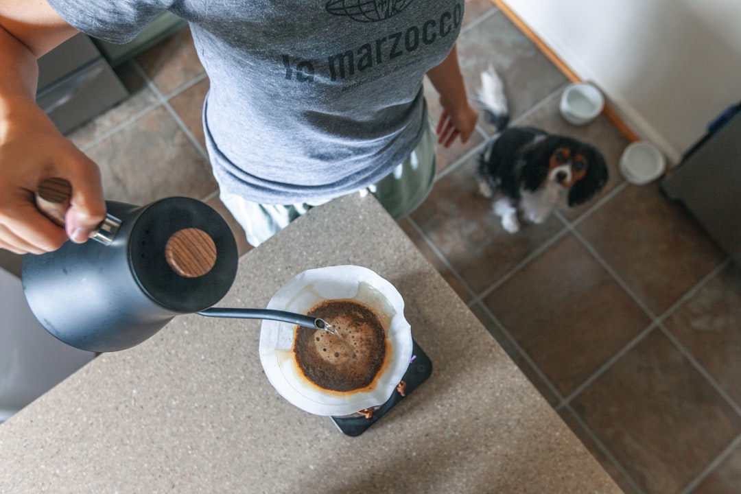 Photo Dog, Coffee